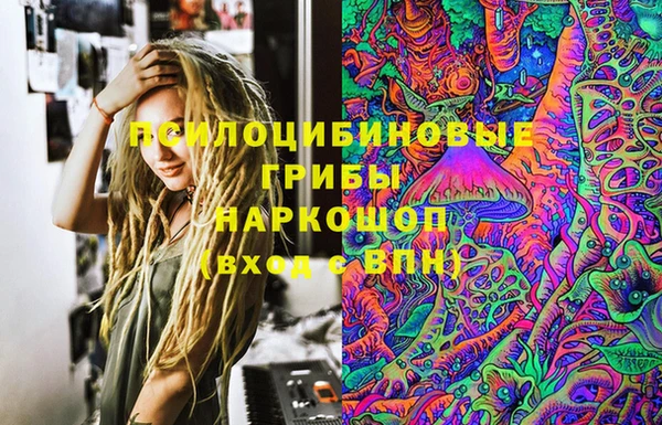 индика Алексин