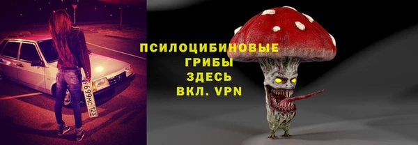 мяу мяу мука Алзамай