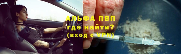 индика Алексин