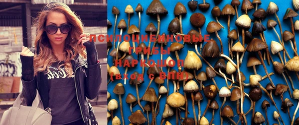 индика Алексин