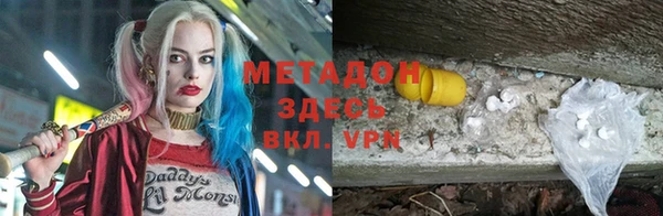 индика Алексин