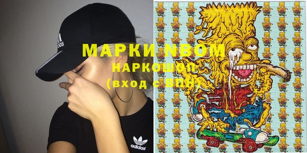 индика Алексин